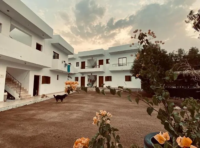 Apartment Saleh House